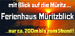 Kurtz