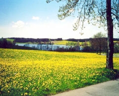 Ferienwohnung - Ihr Landurlaub in Isny-Beuren - im herrlichen Allgäu