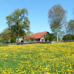 Ferienwohnung - Ihr Landurlaub in Isny-Beuren - im herrlichen Allgäu