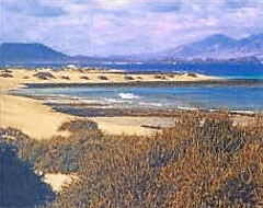 Fuerteventura erleben - Urlaub genießen - Playa de Esquinzo, Fuerteventura