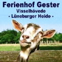 Ferienhof Gester - Ferienhaus und Gästezimmer - in der Lüneburger Heide