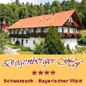 Ferienwohnungen im Degenberger Hof - in Schwarzach - Bayerischer Wald