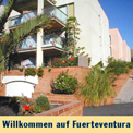 Fuerteventura erleben - Urlaub genießen - Playa de Esquinzo, Fuerteventura