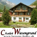 Chalet Wiesengrund - FeWo für 8 Personen... in Saas-Almagell - im Wallis