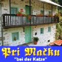 Ein besonderes Haus - mit kleinem Pool - in den Bergen Sloweniens