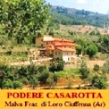 Apartments "Podere Casarotta"... willkommen in Loro Ciuffenna - Toskana