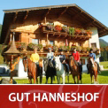 Erpfendorf im herrlichen Tirol - die Heimat des Gut Hanneshof