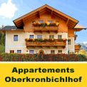 Appartement Oberkronbichlhof - direkt an der Skipiste - in Großarl