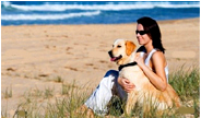 Urlaub mit Hund