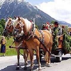 Appartement & Zimmer - Landpension Köberl in Ramsau am Dachstein