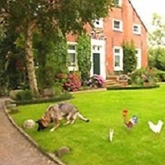Urlaub in Ostfriesland... auf nach Greetsiel - an der schönen Nordseeküste